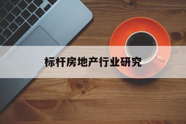 徐州市标杆房地产行业研究(房地产领域的标杆人物)