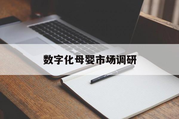 徐州市数字化母婴市场调研(数字化母婴市场调研报告)